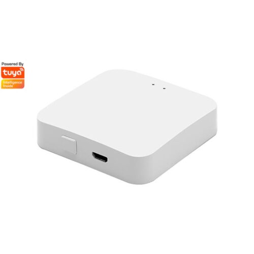 Zigbee Hub | Gateway | Bridge station